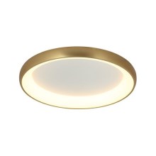 Zambelis 2042 - LED loftlampe dæmpbar LED/30W/230V diameter 40 cm guldfarvet