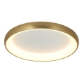 Zambelis 2050 - LED dæmpbar loftlampe LED/50W/230V Ø 60 cm guld