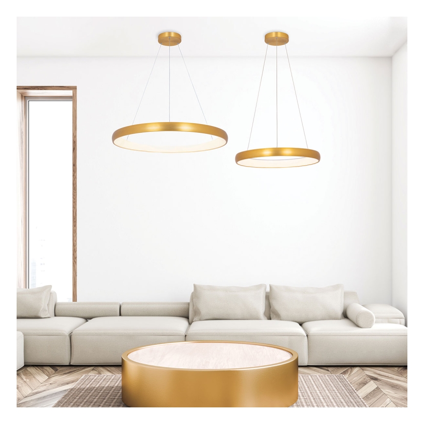 Zambelis 2054 - LED pendel dæmpbar LED/50W/230V diameter 60 cm guldfarvet