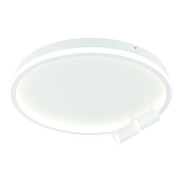 Zambelis 22015 - LED dæmpbar loftlampe LED/71W/230V hvid