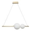 Zambelis 22108 - LED dæmpbar loftlampe på wire LED/11W/230V guld