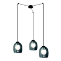 Zambelis 22145 - Pendel 3xG9/5W/230V edderkop sort