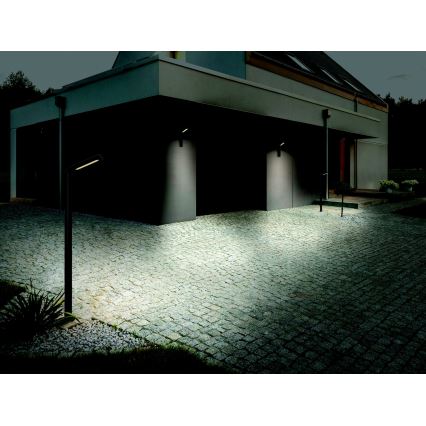 Zambelis E205 - Udendørs LED væglampe LED/10W/230V IP54 antracit