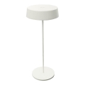 Zambelis E290 - LED dæmpbar udendørslampe LED/2,2W/3,7V 2200 mAh IP54 hvid