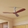 ZEVENTI - Loftsventilator LIONI Wi‑Fi Tuya mat krom/eg + fjernbetjening