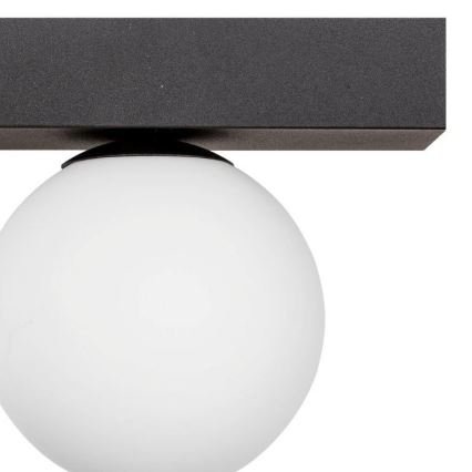 Zuma Line - Loftlampe 2xG9/8W/230V sort