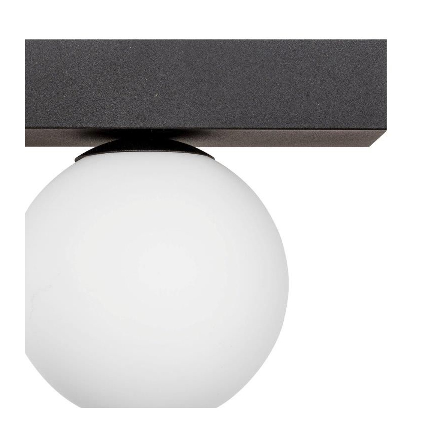 Zuma Line - Loftlampe 2xG9/8W/230V sort