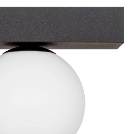 Zuma Line - Loftlampe 1xG9/8W/230V sort