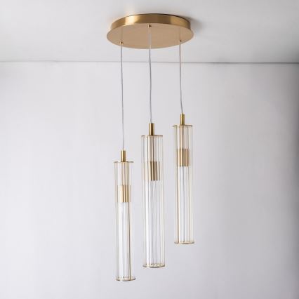 Zuma Line - Pendel på kabel 3xE14/7W/230V guld