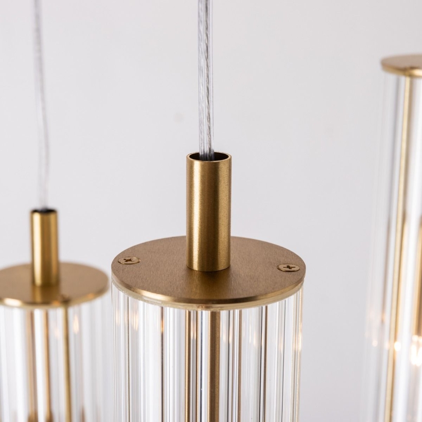 Zuma Line - Pendel på kabel 3xE14/7W/230V guld