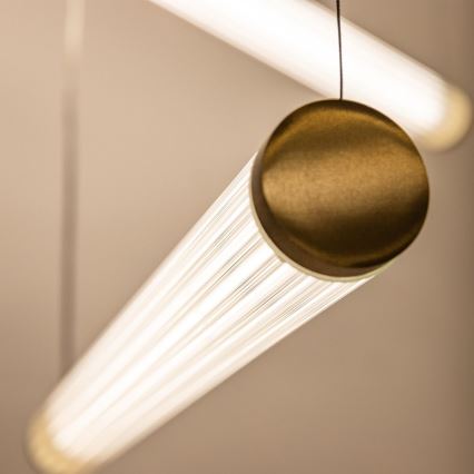Zuma Line - LED-dæmpbar pendel på kabel LED/64W/230V 2700-6500K guld + fjernbetjening