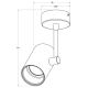 Zuma Line - Spotlampe 1xGU10/50W/230V hvid/gylden