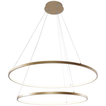 Zuma Line - LED pendel LED/60W/230V 3000/4000/6000K diameter 80 cm guldfarvet