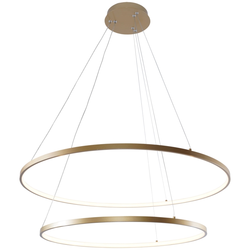 Zuma Line - LED pendel LED/60W/230V 3000/4000/6000K diameter 80 cm guldfarvet