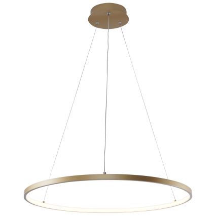 Zuma Line - LED pendel LED/28W/230V 3000/4000/6000K diameter 60 cm guldfarvet