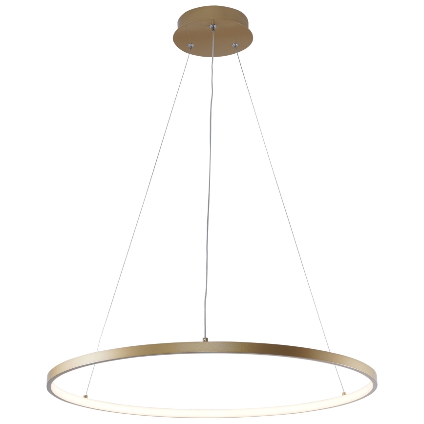 Zuma Line - LED pendel LED/28W/230V 3000/4000/6000K diameter 60 cm guldfarvet