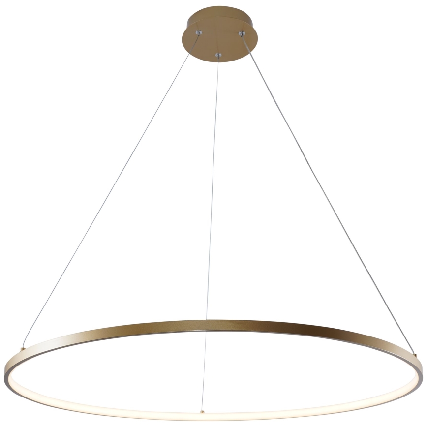 Zuma Line - LED pendel LED/36W/230V 3000/4000/6000K diameter 80 cm guldfarvet