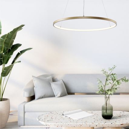 Zuma Line - LED pendel LED/36W/230V 3000/4000/6000K diameter 80 cm guldfarvet