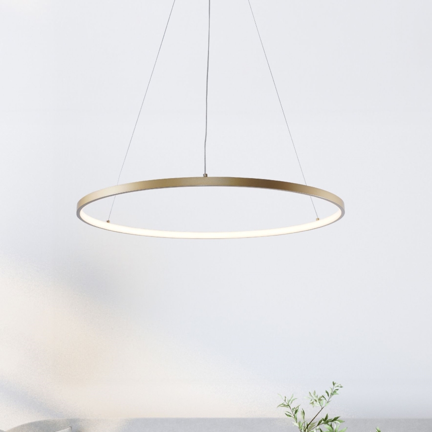 Zuma Line - LED pendel LED/36W/230V 3000/4000/6000K diameter 80 cm guldfarvet