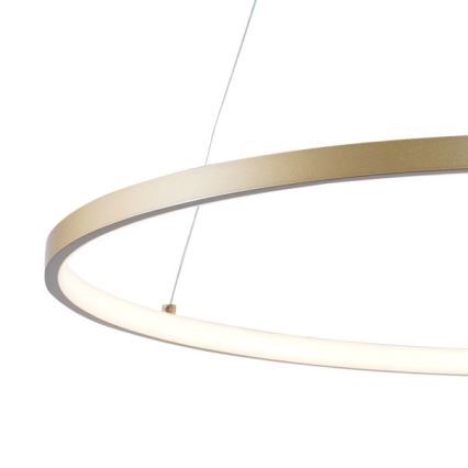 Zuma Line - LED pendel LED/36W/230V 3000/4000/6000K diameter 80 cm guldfarvet