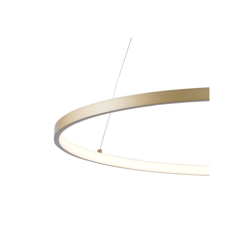 Zuma Line - LED pendel LED/36W/230V 3000/4000/6000K diameter 80 cm guldfarvet