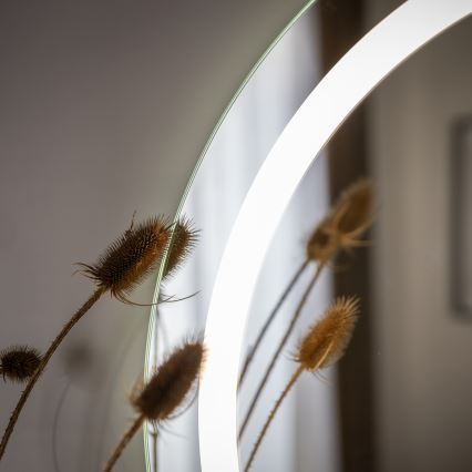 Zuma Line - Vægmonteret LED-badeværelsesspejl med integreret baggrundsbelysning LED/36W/230V 3000/4000/6000K Ø 80 cm IP44