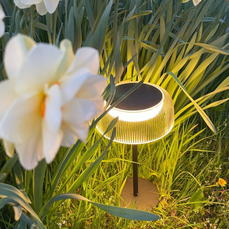 Zuma Line - Soldrevet LED bordlampe dæmpbar og genopladelig LED/2,5W/2000 mAh IP44 sort