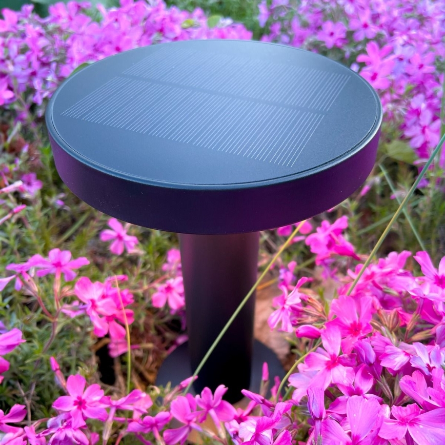 Zuma Line - Soldrevet LED bordlampe dæmpbar og genopladelig LED/2W/2000 mAh IP44 sort