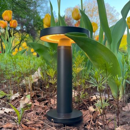 Zuma Line - Soldrevet LED bordlampe dæmpbar og genopladelig LED/2W/2000 mAh IP44 sort