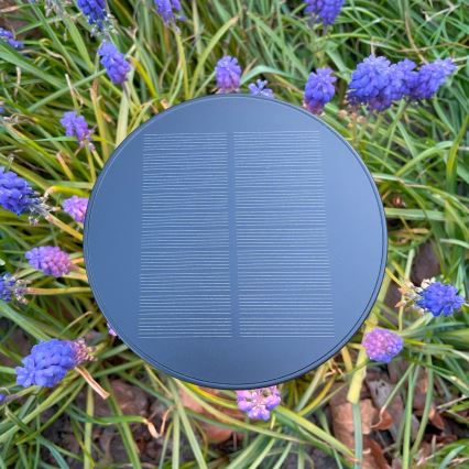 Zuma Line - Soldrevet LED bordlampe dæmpbar og genopladelig LED/2W/2000 mAh IP44 sort