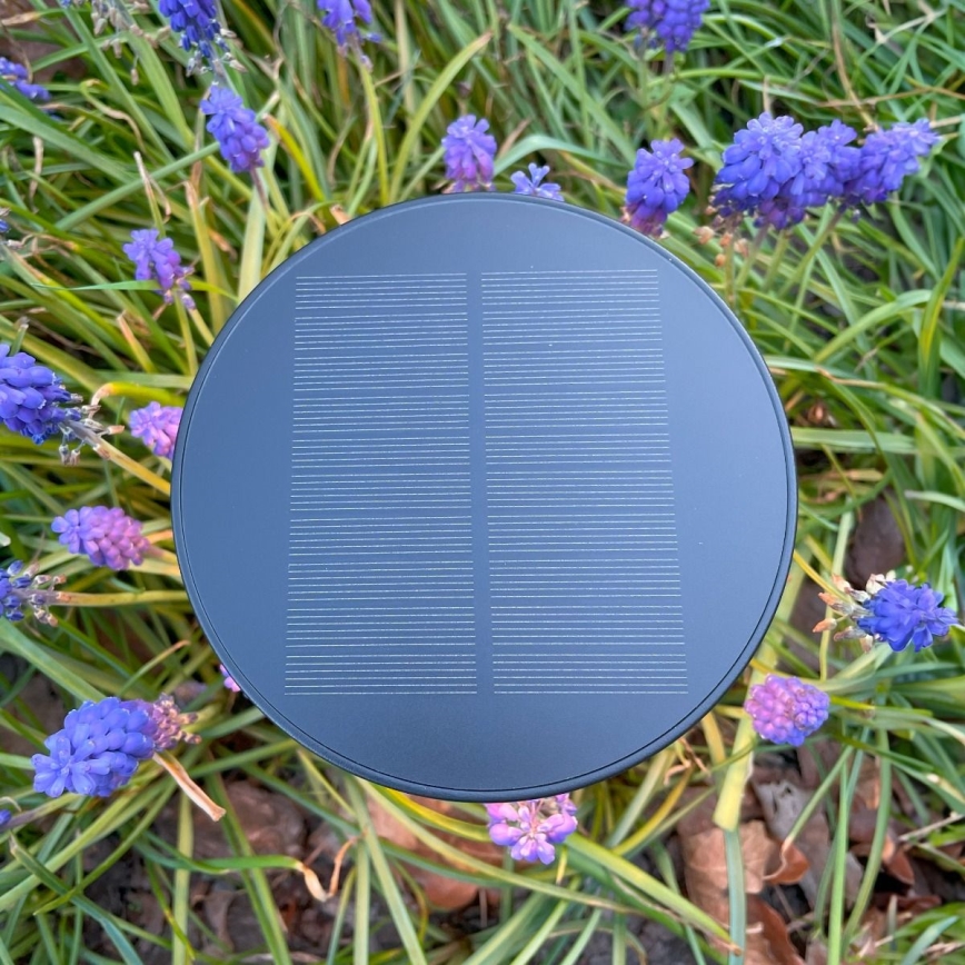 Zuma Line - Soldrevet LED bordlampe dæmpbar og genopladelig LED/2W/2000 mAh IP44 sort
