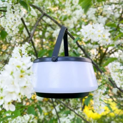 Zuma Line - Soldrevet LED bordlampe dæmpbar og genopladelig LED/2,2W/2000 mAh IP44 sort