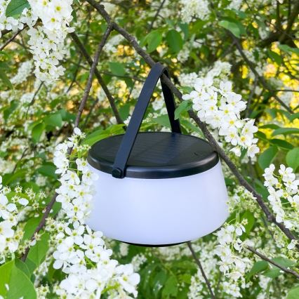 Zuma Line - Soldrevet LED bordlampe dæmpbar og genopladelig LED/2,2W/2000 mAh IP44 sort