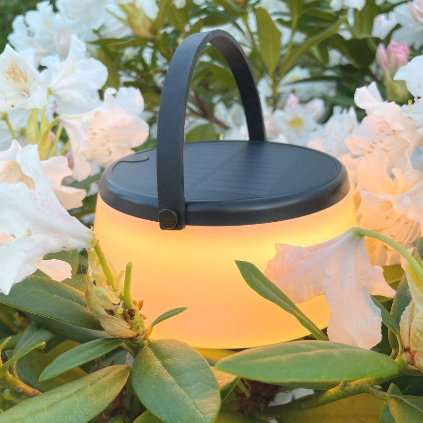Zuma Line - Soldrevet LED bordlampe dæmpbar og genopladelig LED/2,2W/2000 mAh IP44 sort