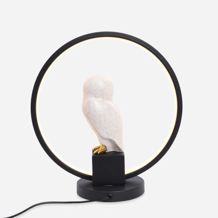 Zuma Line - LED bordlampe LED/4W/5V sort/hvid