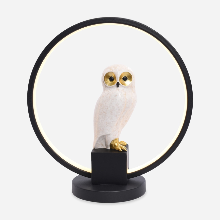 Zuma Line - LED bordlampe LED/4W/5V sort/hvid