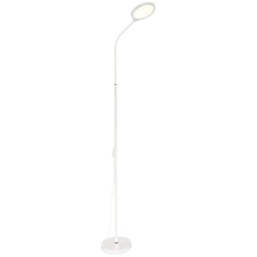 Zuma Line - LED dæmpbar gulvlampe LED/10W/230V 3000/4500/6500K hvid