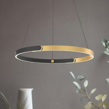 Zuma Line - LED dæmpbar loftlampe på kabel LED/30W/230V sort/guld