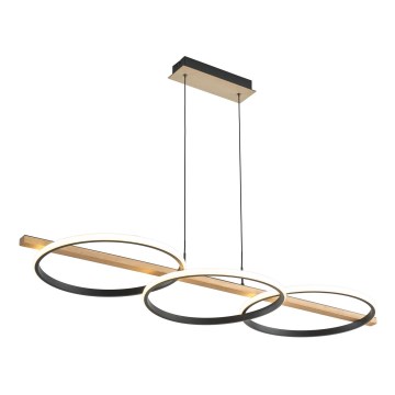 Zuma Line - LED dæmpbar loftlampe på kabel LED/35W/230V