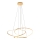 Zuma Line - LED dæmpbar loftlampe på kabel LED/56W/230V guld