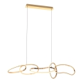 Zuma Line - LED dæmpbar loftlampe på kabel LED/56W/230V guld