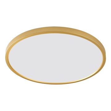 Zuma Line - LED loftlampe CAMI LED/36W/230V 3000/4000/6000K Ø 40 cm guld