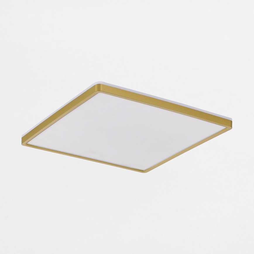 Zuma Line - LED loftlampe dæmpbar LED/38W/230V + LED/12W 3000/4000/5500K 40x40 cm guldfarvet