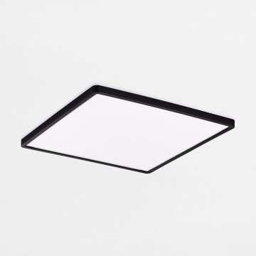 Zuma Line - LED loftlampe dæmpbar LED/38W/230V + LED/12W 3000/4000/5500K 40x40 cm sort