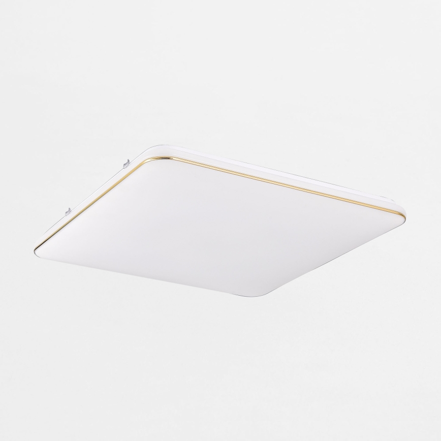 Zuma Line - LED loftlampe dæmpbar LED/48W/230V 53x53 cm guldfarvet