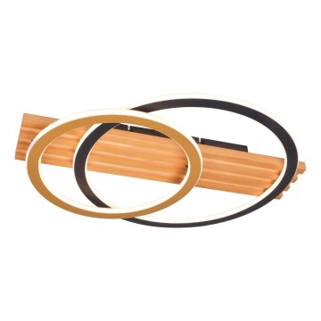 Zuma Line - LED loftlampe LED/40W/230V