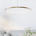 Zuma Line - LED loftlampe på kabel LED/36W/230V 3000/4000/6000K Ø 80 cm guld