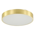 Zuma Line - LED loftlampe til badeværelse dæmpbar LED/50W/230V 3000-6000K diameter 50 cm IP44 guldfarvet + fjernbetjening