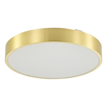 Zuma Line - LED loftlampe til badeværelse dæmpbar LED/50W/230V 3000-6000K diameter 50 cm IP44 guldfarvet + fjernbetjening