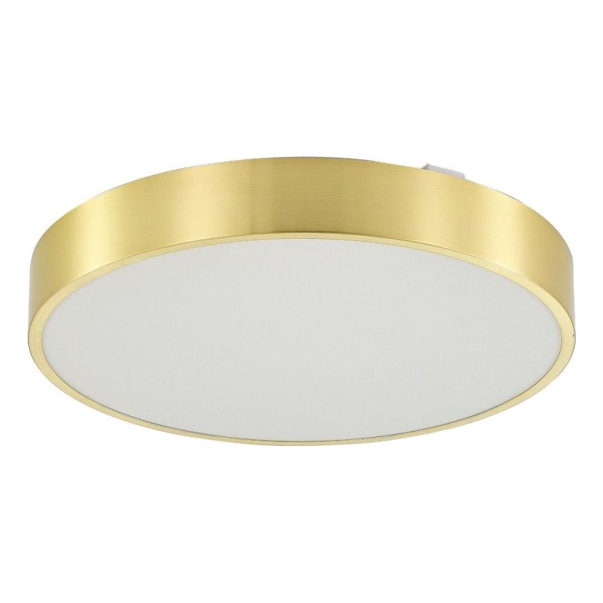 Zuma Line - LED loftlampe til badeværelse dæmpbar LED/50W/230V 3000-6000K diameter 50 cm IP44 guldfarvet + fjernbetjening